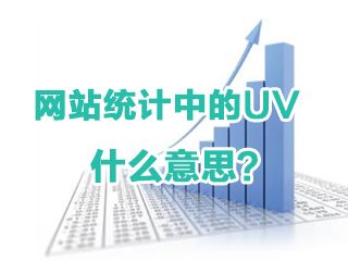 網站統計中的UV是什么意思？