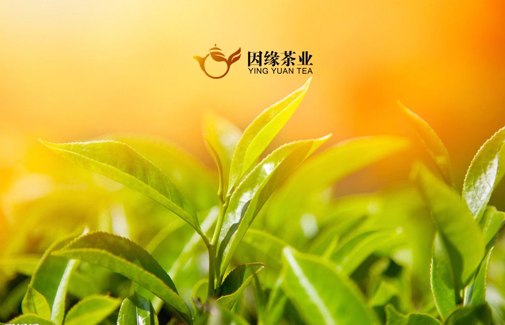 因緣茶業標志設計